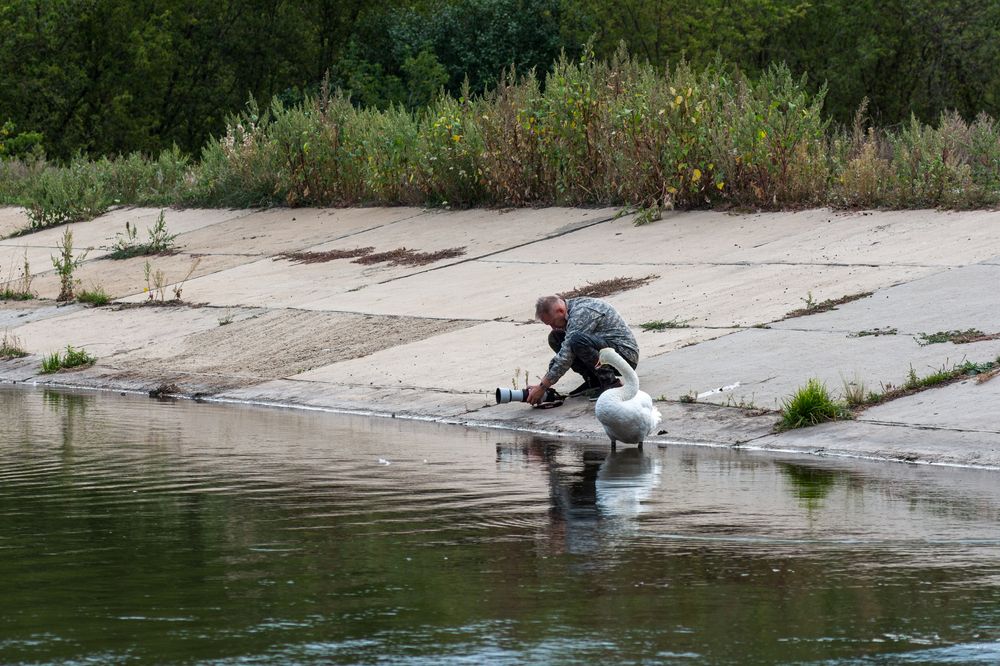 Photograph by Алексей Кузьмин