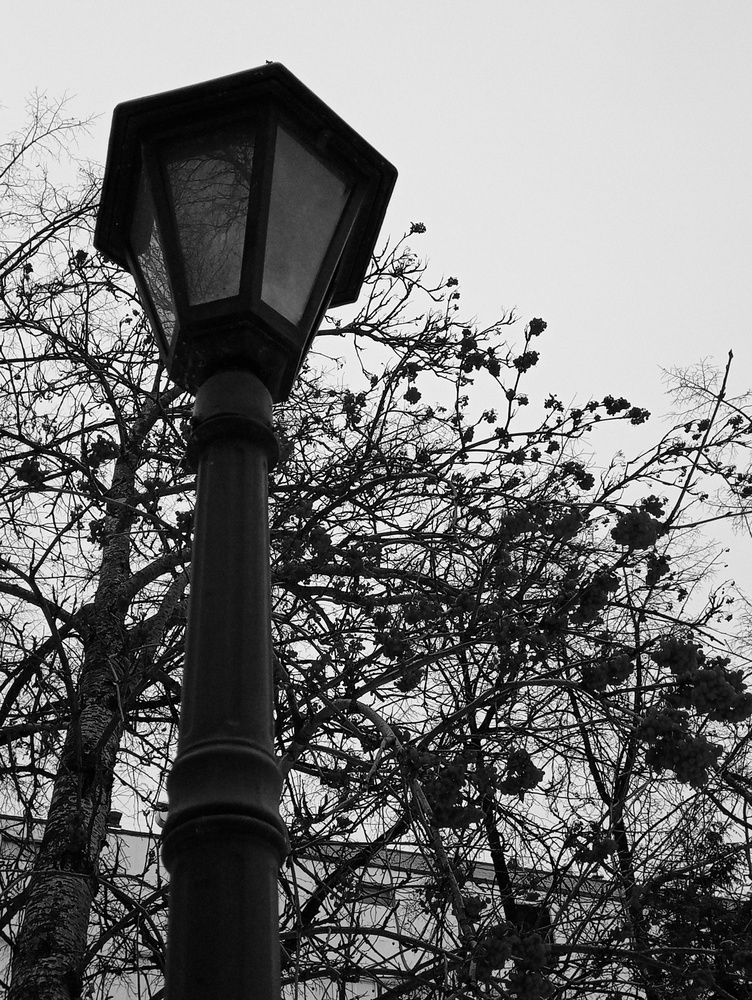 Главная роль - Фонарь