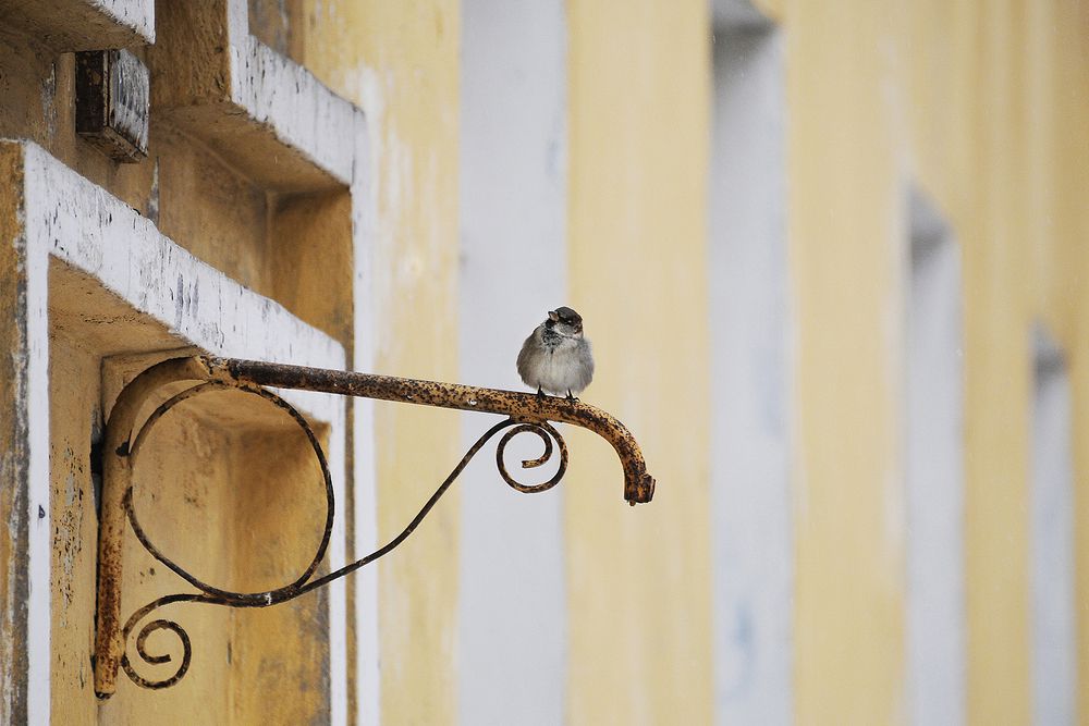 Отдохну и дальше