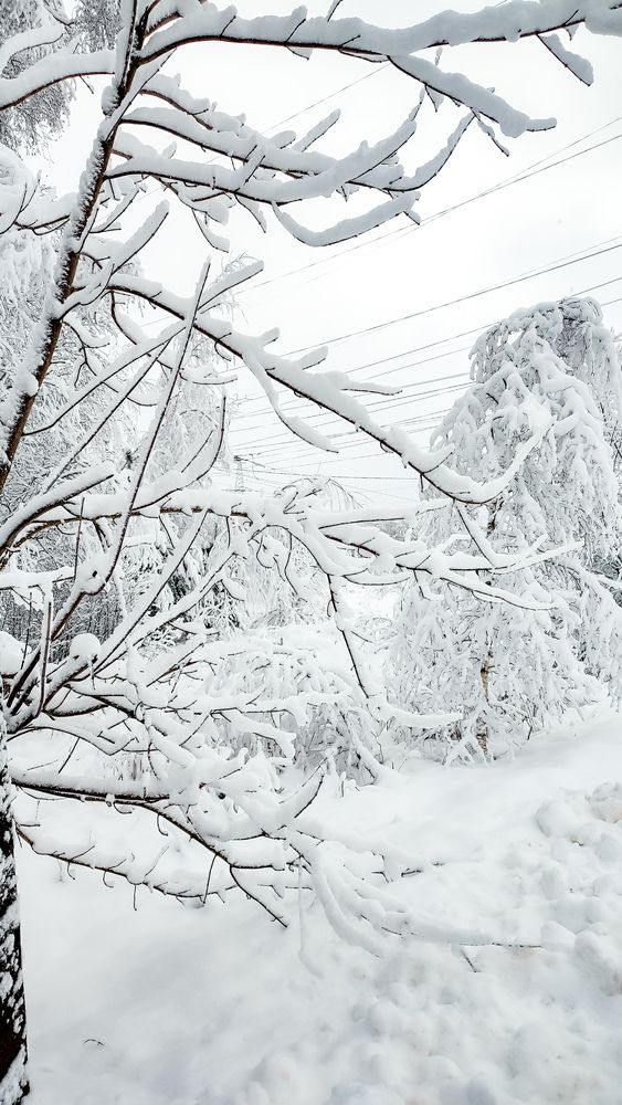 Photograph by Людмила Сергеева