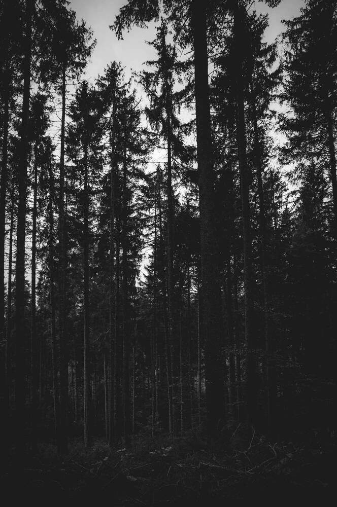 Photograph by Amel Mahmuljin