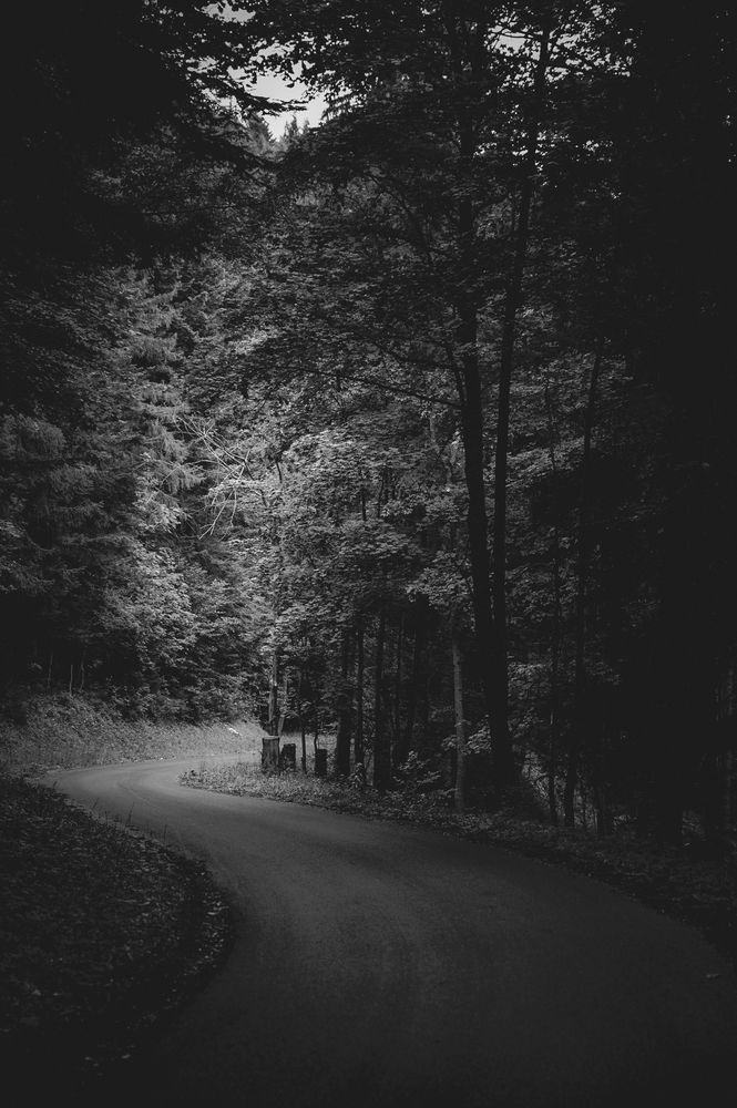 Photograph by Amel Mahmuljin