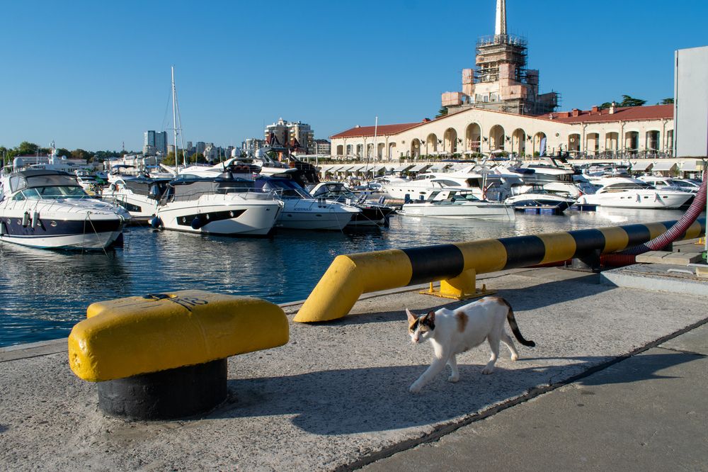 Photograph by Олег Алексеев