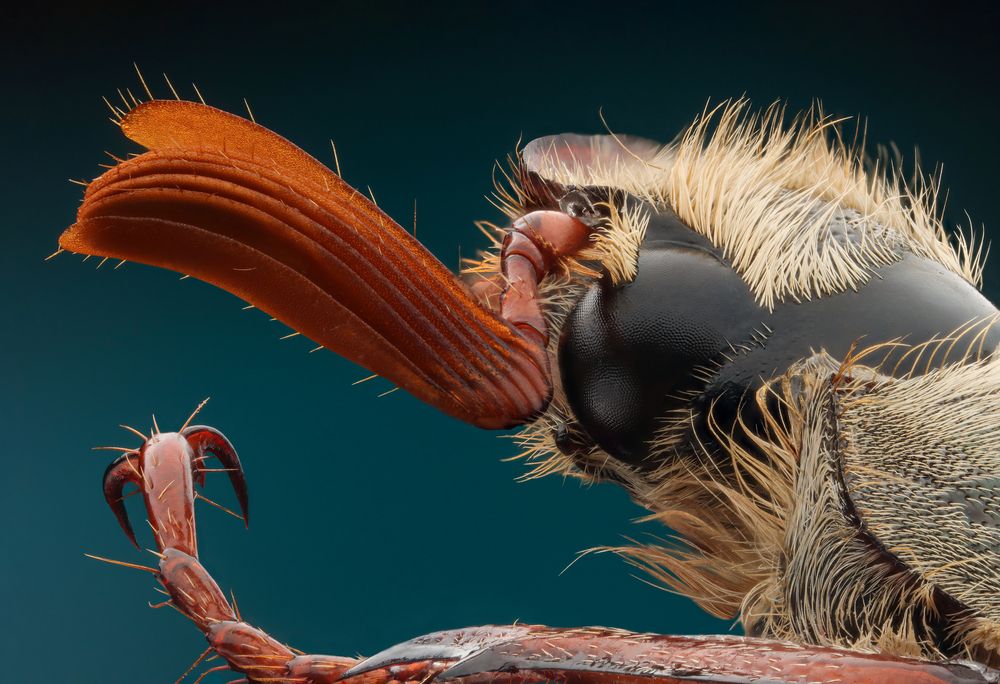 Photograph by Антон Сидоров