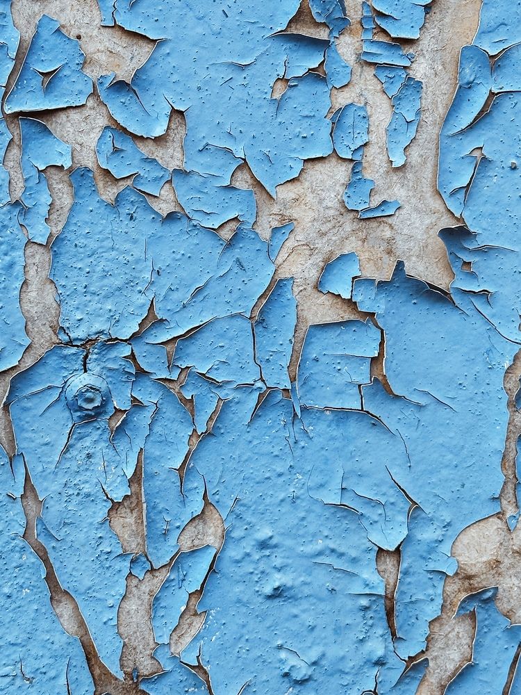 Фотография автора София