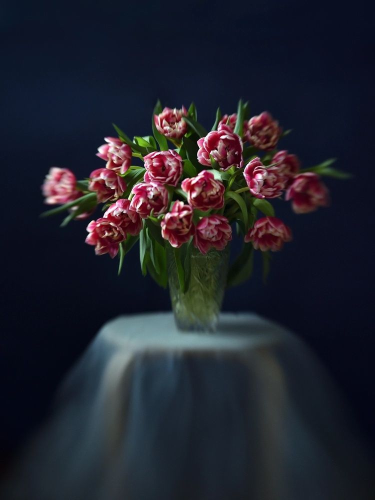 Photograph by Наташа Андреева