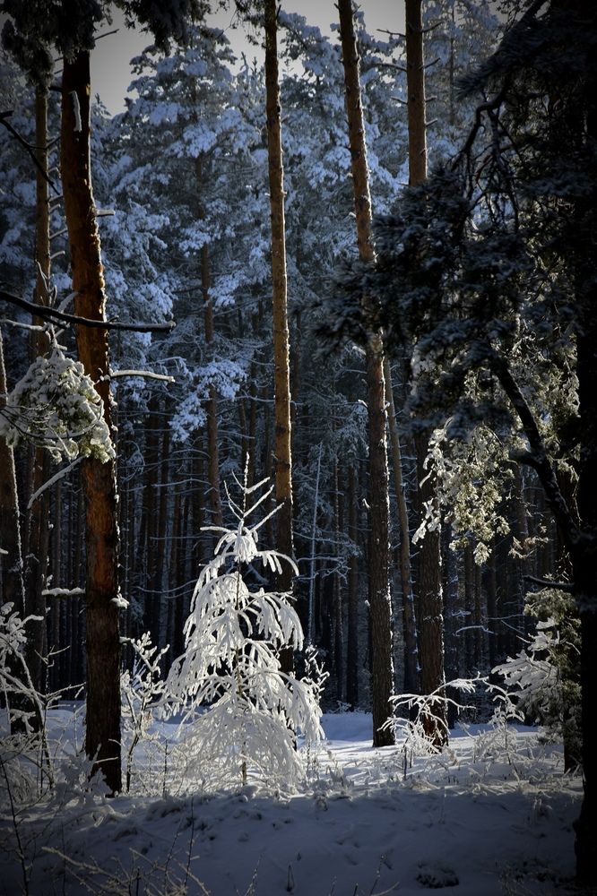 Photograph by Валерий Гудков