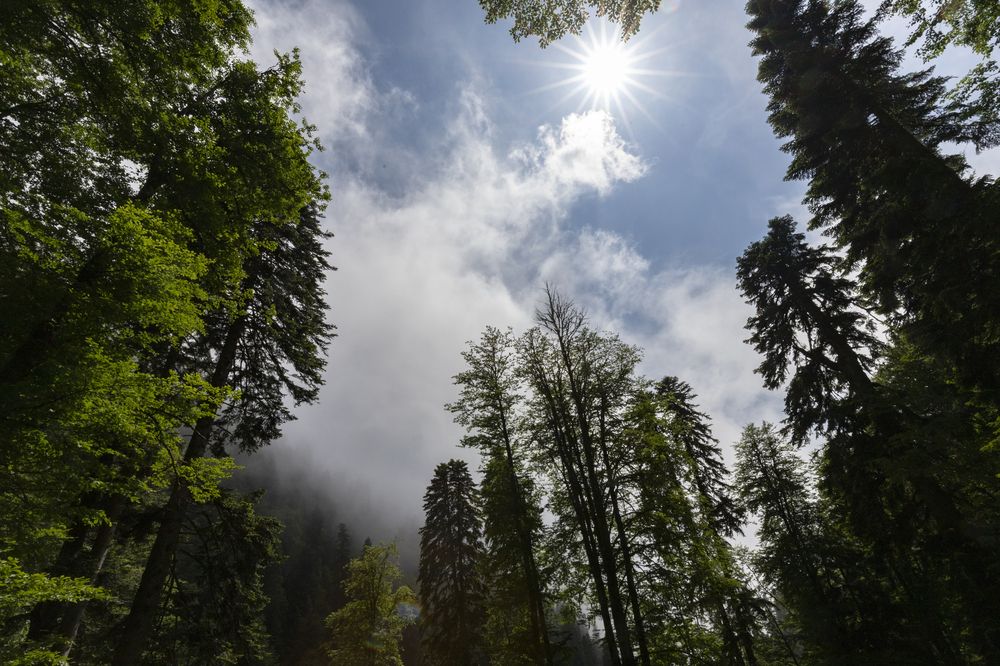 Photograph by Максим Мураков