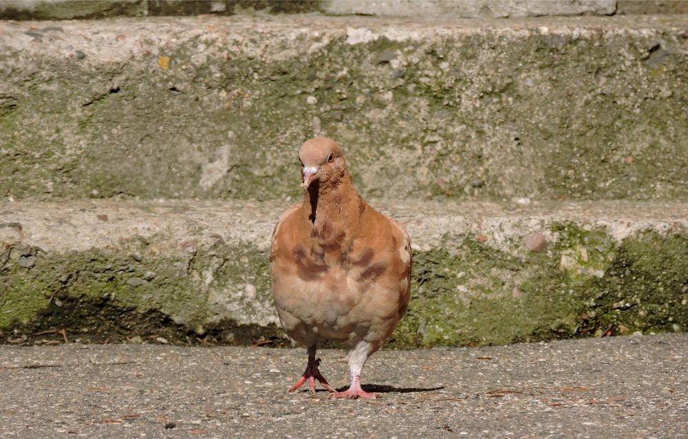 Photograph by Tatiana