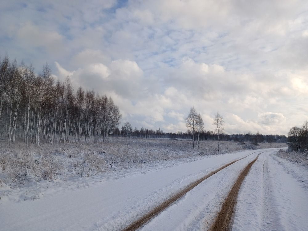 Photograph by Галина Гузова