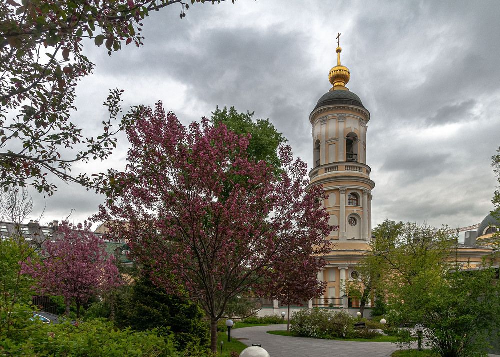 Photograph by Vladimir  Komarov