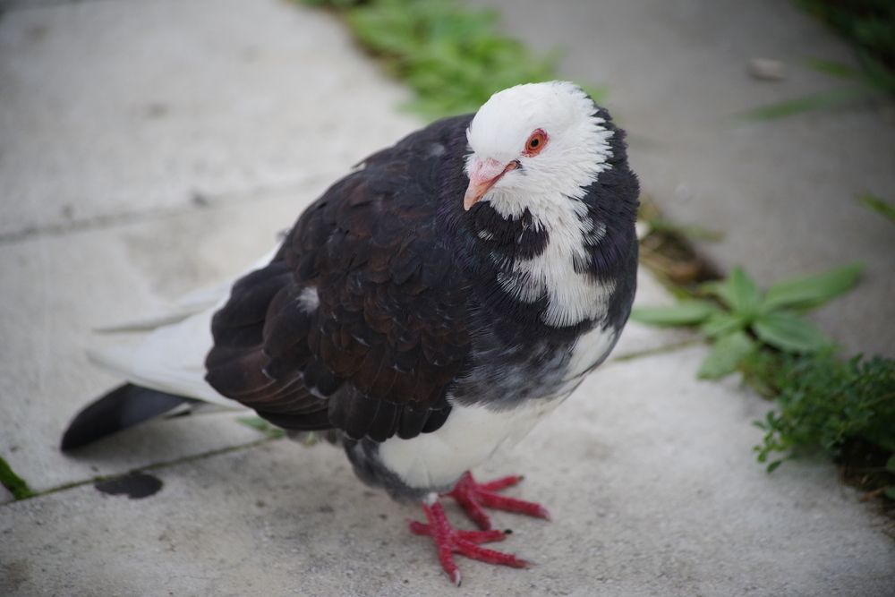 Photograph by Андрей