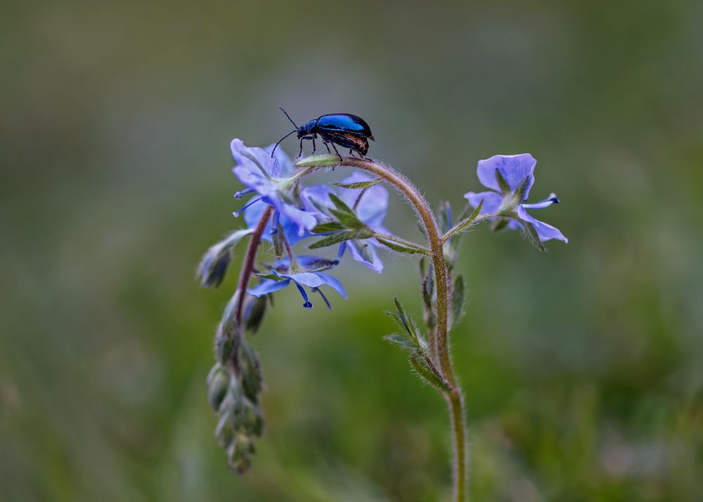 Пора улетать