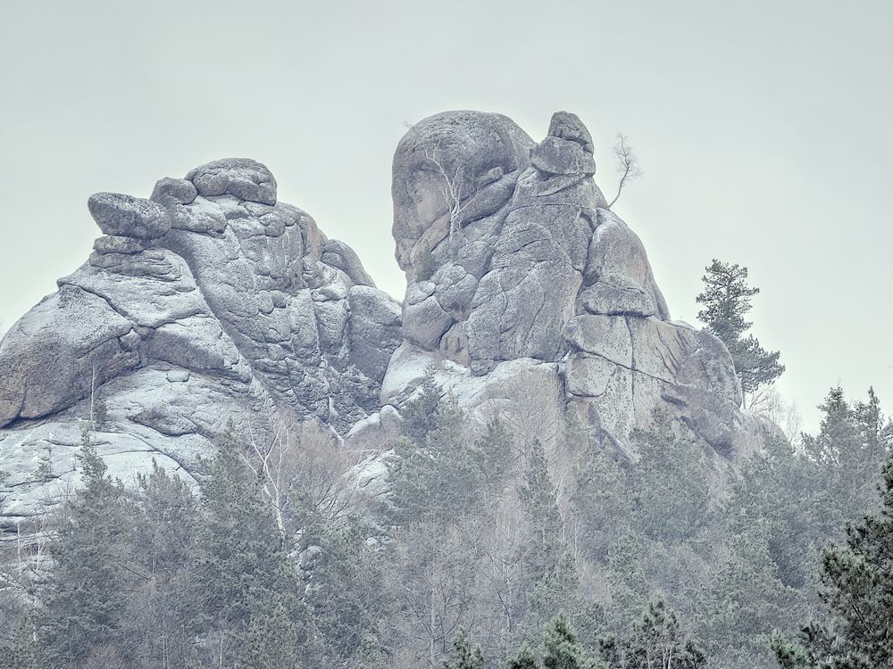 Фотография автора Вадим Серебреников