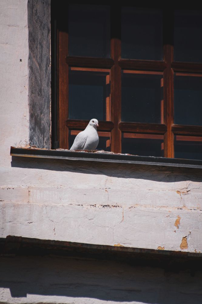 Photograph by Астафьева Анастасия