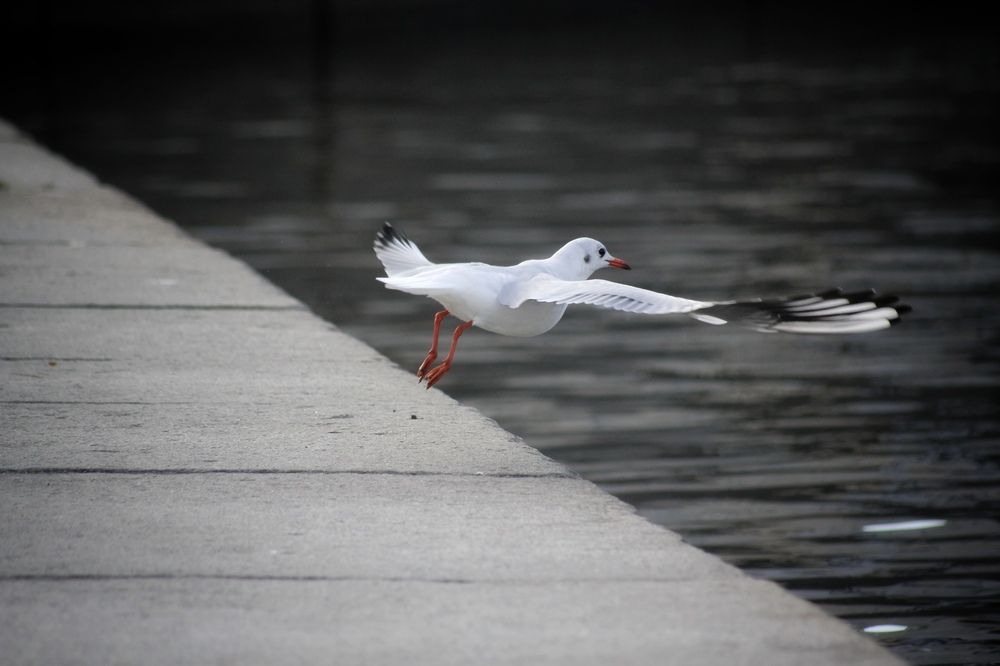 Photograph by Астафьева Анастасия