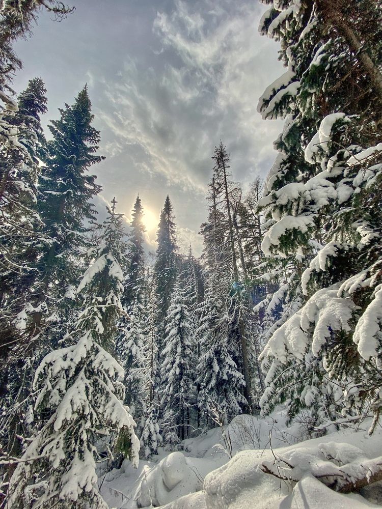 Photograph by Светлана Дмитриева