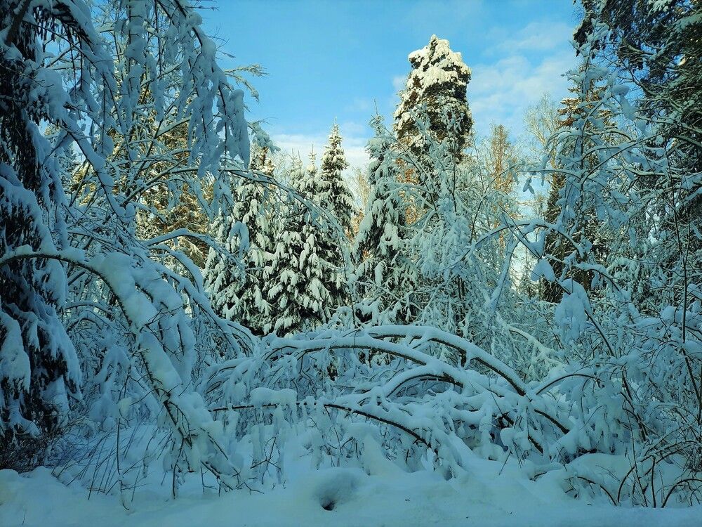 Photograph by Валерия Яскович