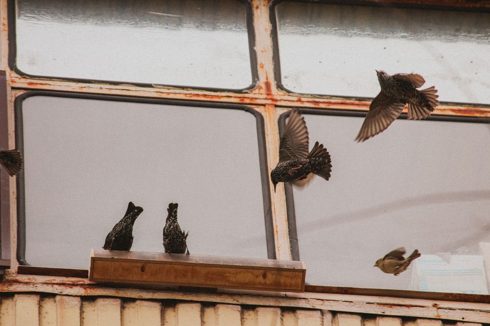 Photograph by Христина Сергейчик