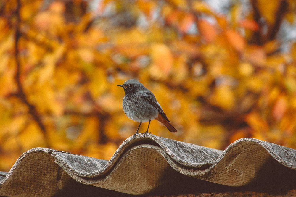 Photograph by Христина Сергейчик