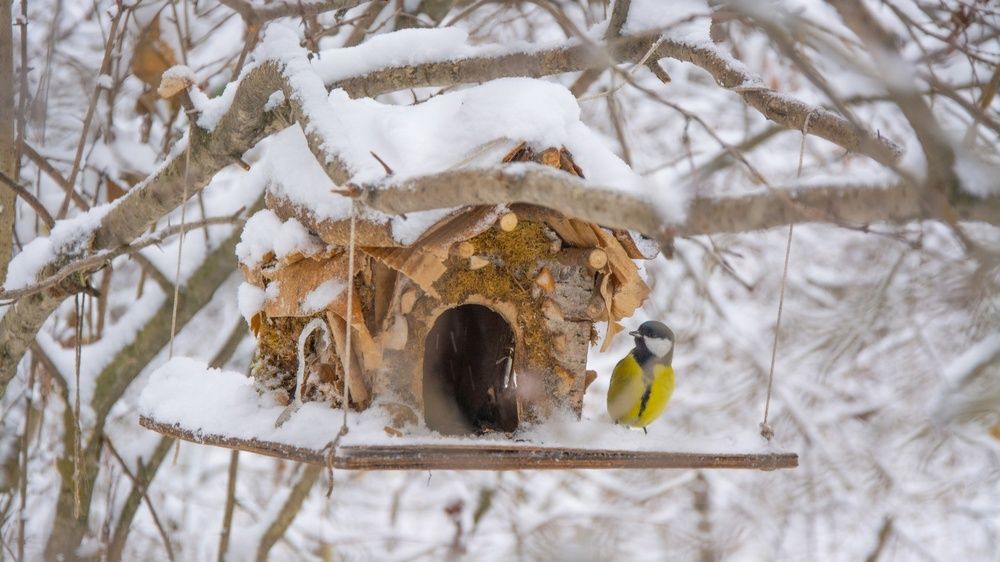 Photograph by Дмитрий Анисимов
