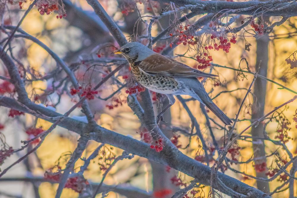 Photograph by Дмитрий Анисимов