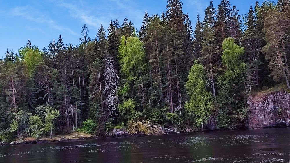 Photograph by Полина Скурская