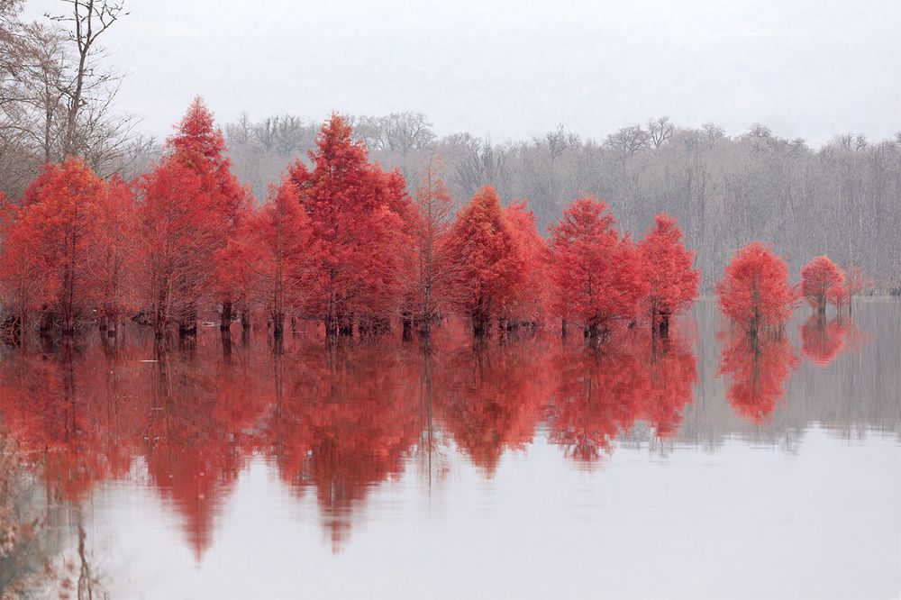 Photograph by SABA Etehad Ketabchi