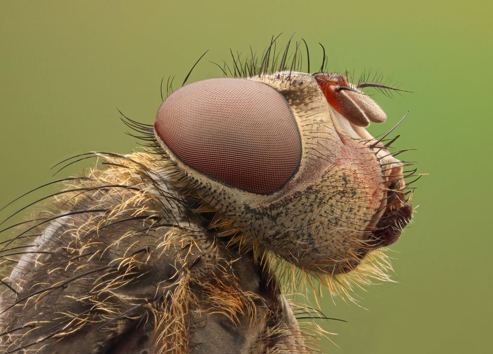 Photograph by Антон Сидоров