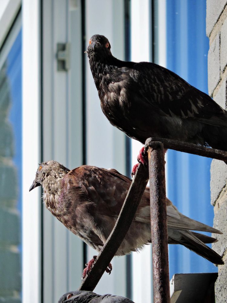 Photograph by Alexander Sahar