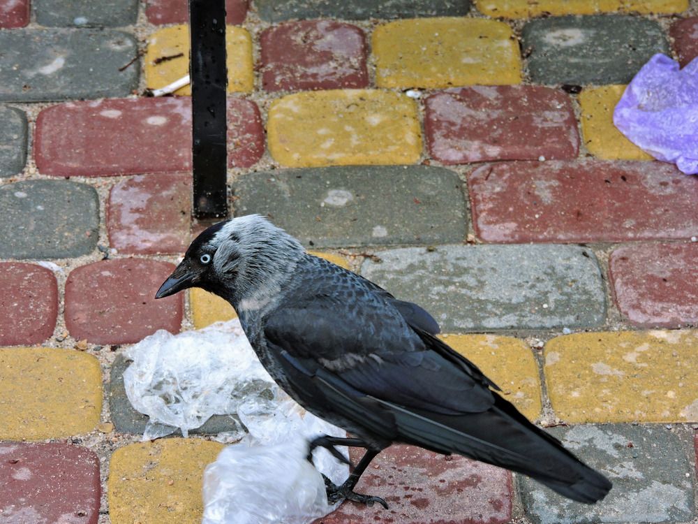 Photograph by Alexander Sahar