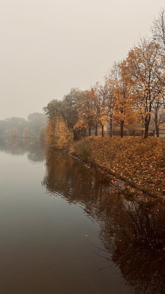 Photograph by Оксана Корепанова