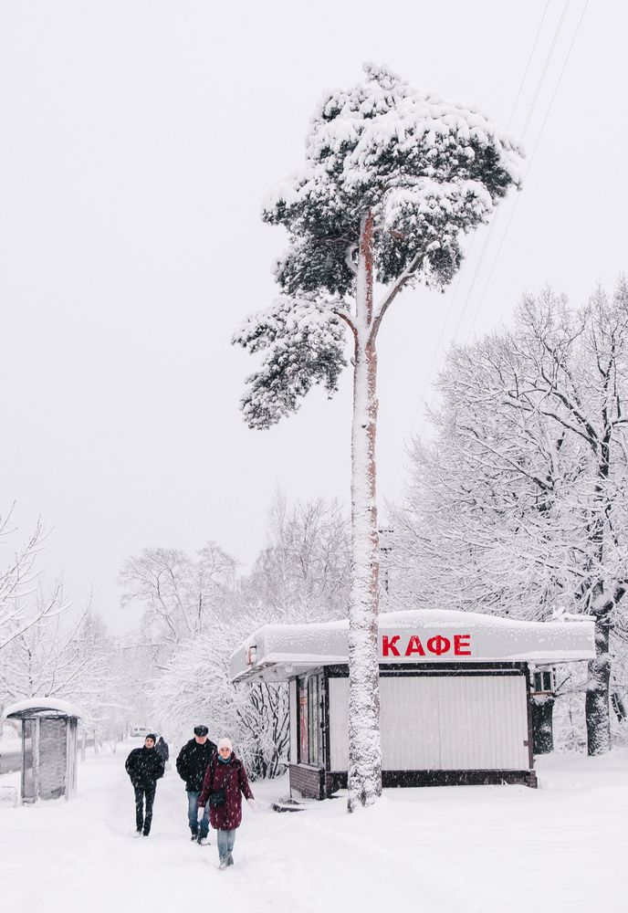 Photograph by Александра Безродная