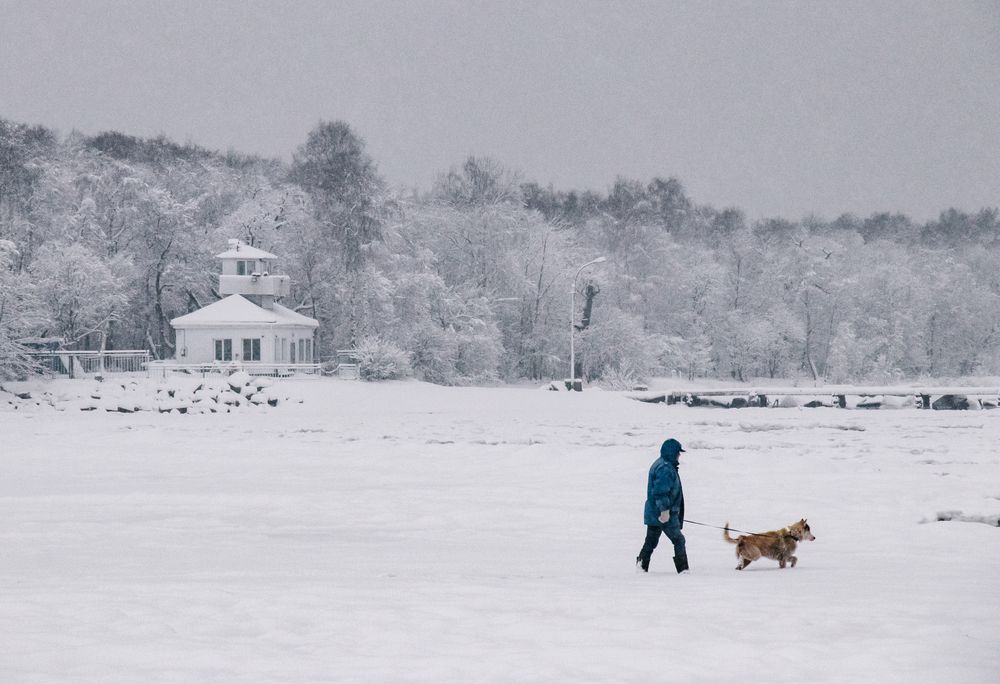 Photograph by Александра Безродная