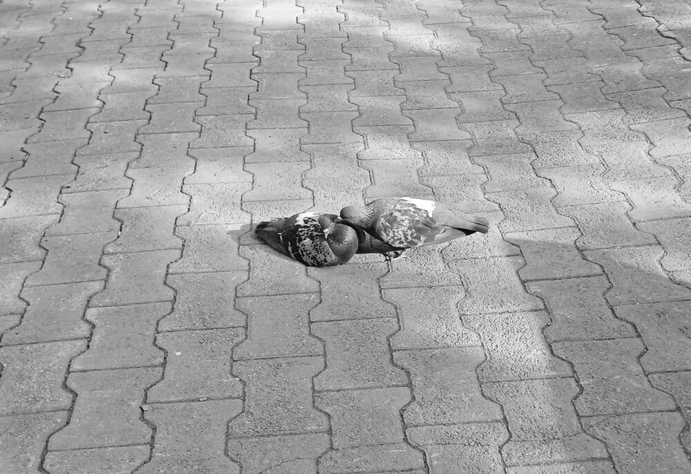 Photograph by Анна