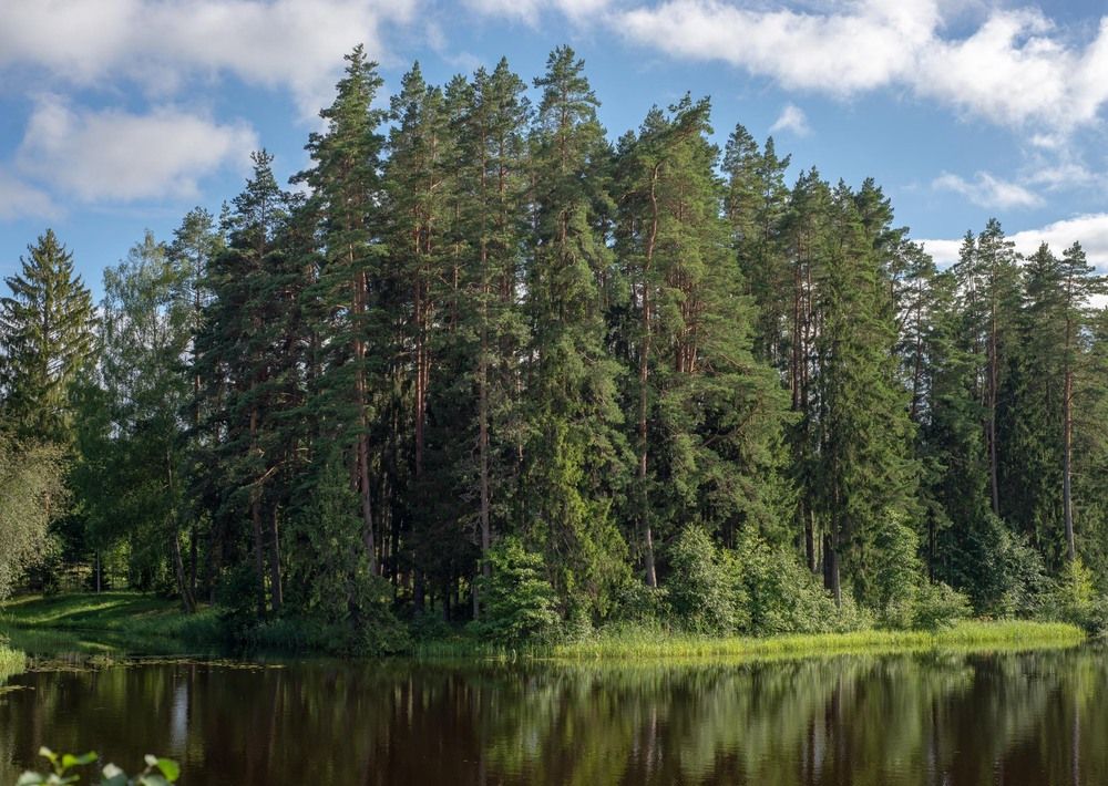 Фотография автора Aлексей Игнатьев