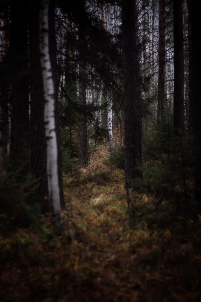 Photograph by Астафьева Анастасия