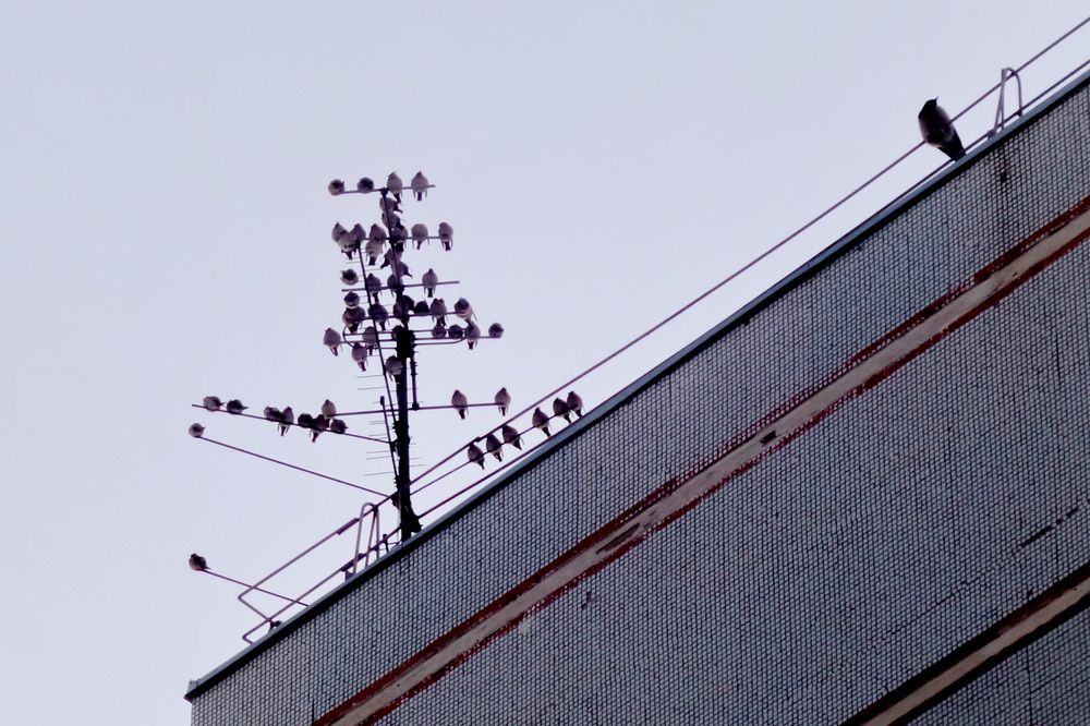 Photograph by Сергей Гребенников