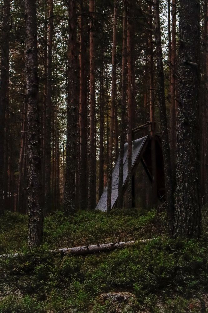 Photograph by Alexander Sahar