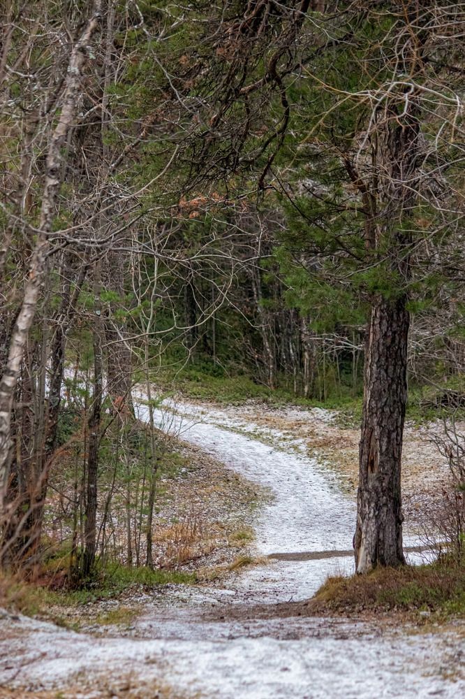 Photograph by Alexander Sahar