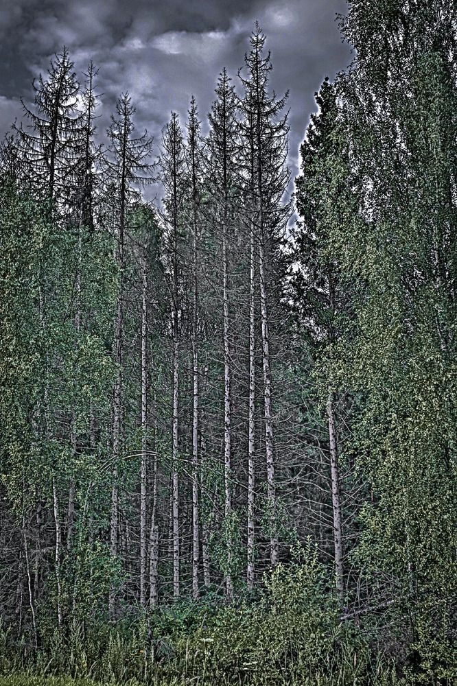 Photograph by Alexander Sahar