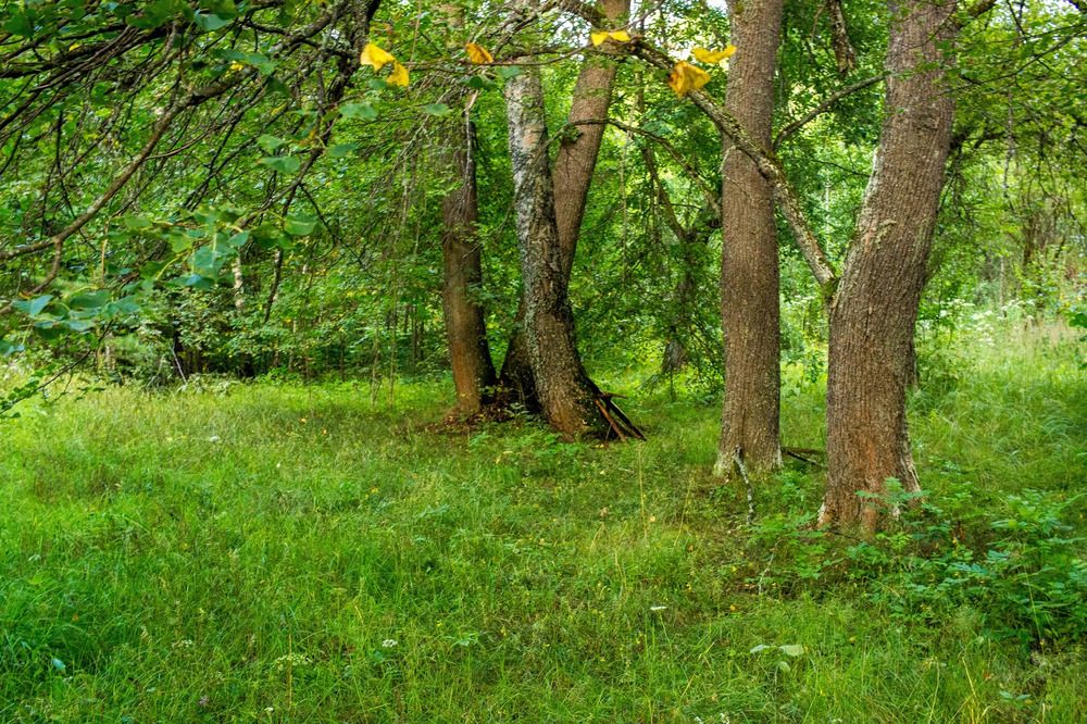 Photograph by Alexander Sahar