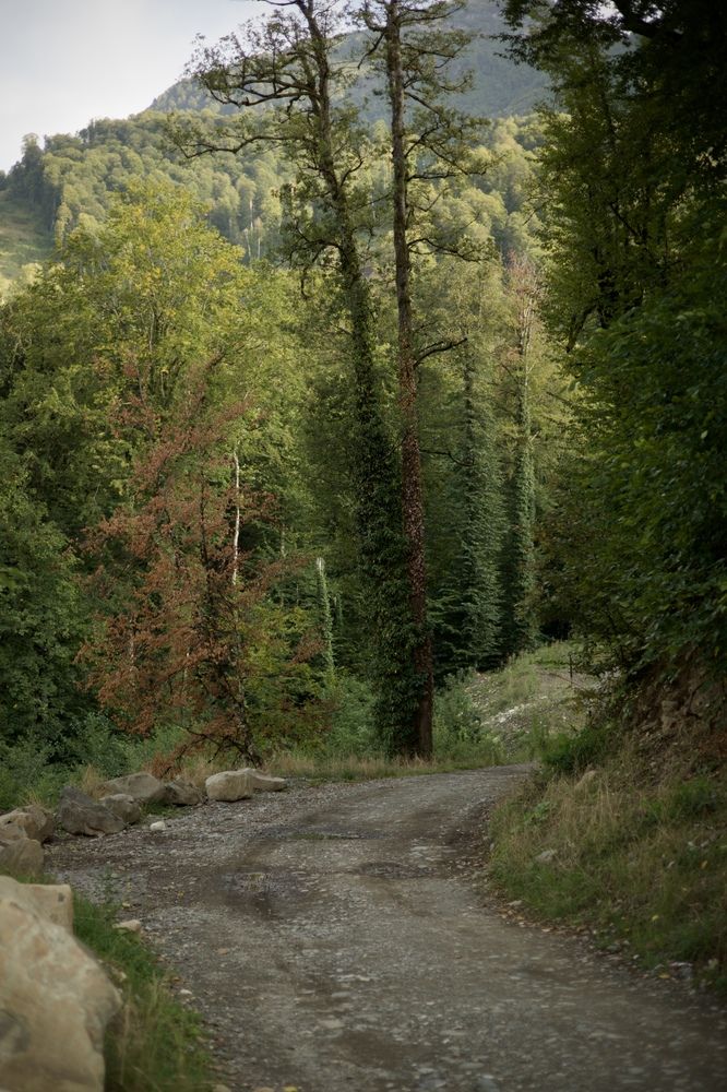 Photograph by Валерия Михайлова