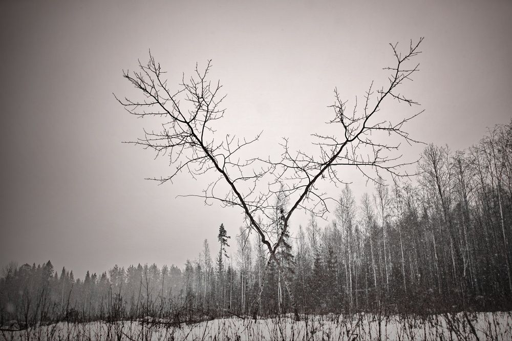 Photograph by Андрей Михайлин