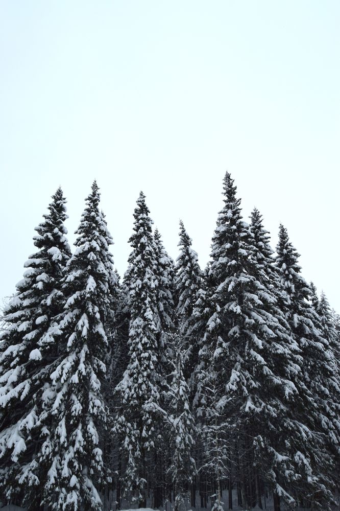 Photograph by Анастасия