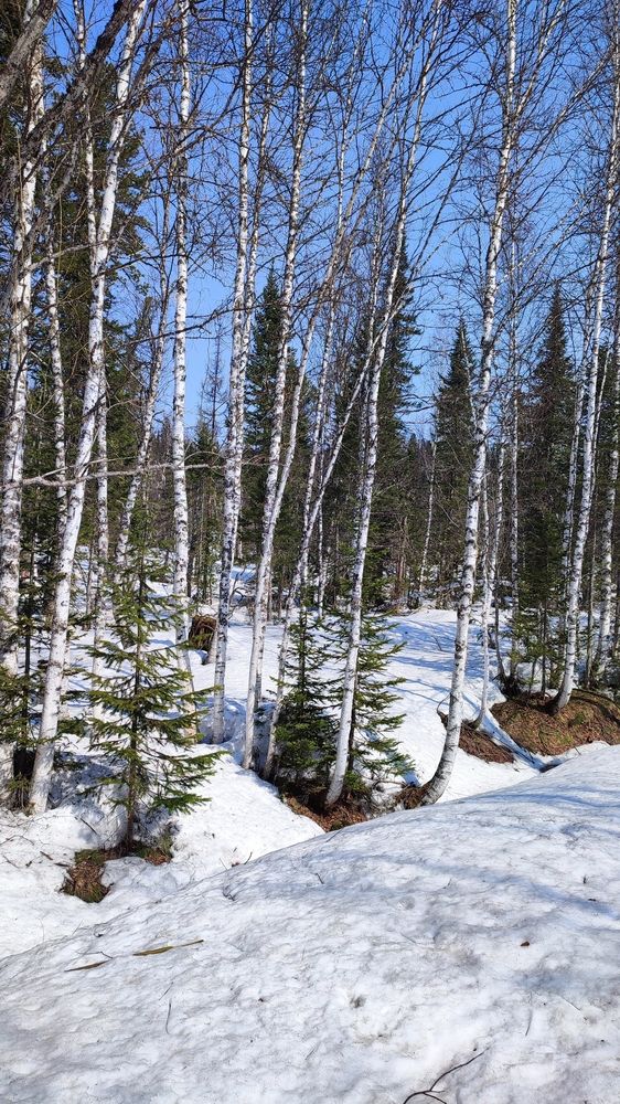 Photograph by Полина Скурская