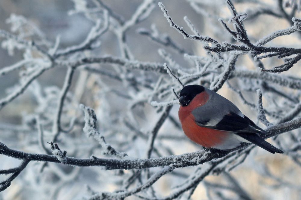 Photograph by Анна Киселёва