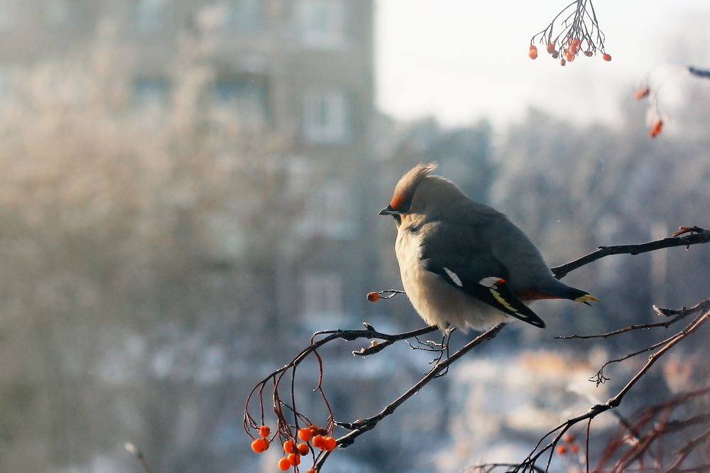 Photograph by Анна Киселёва
