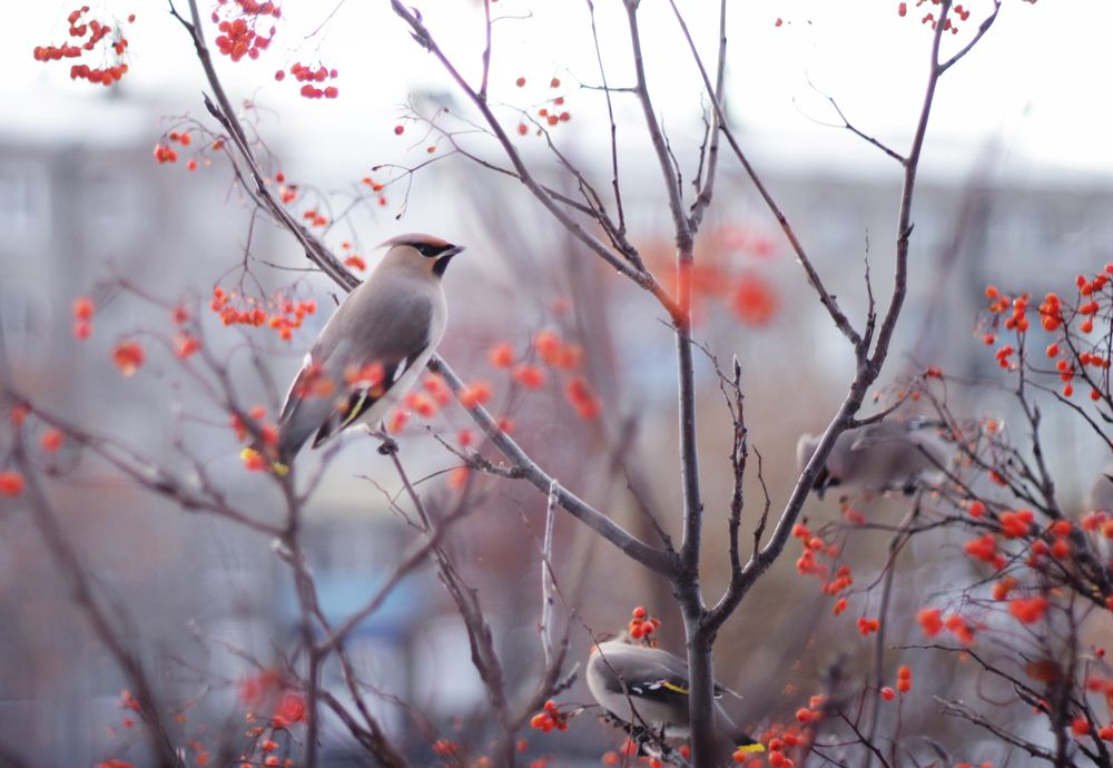 Photograph by Анна Киселёва