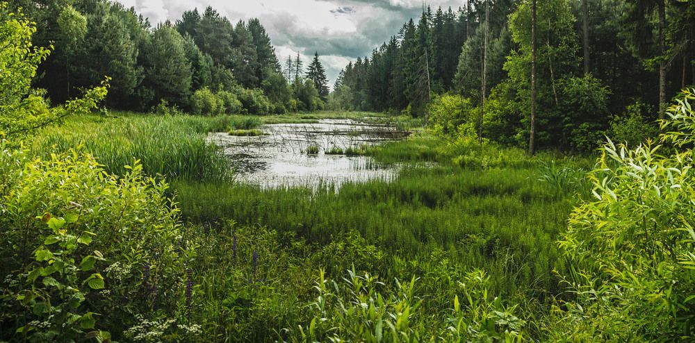 Фотография автора Екатерина Счасная